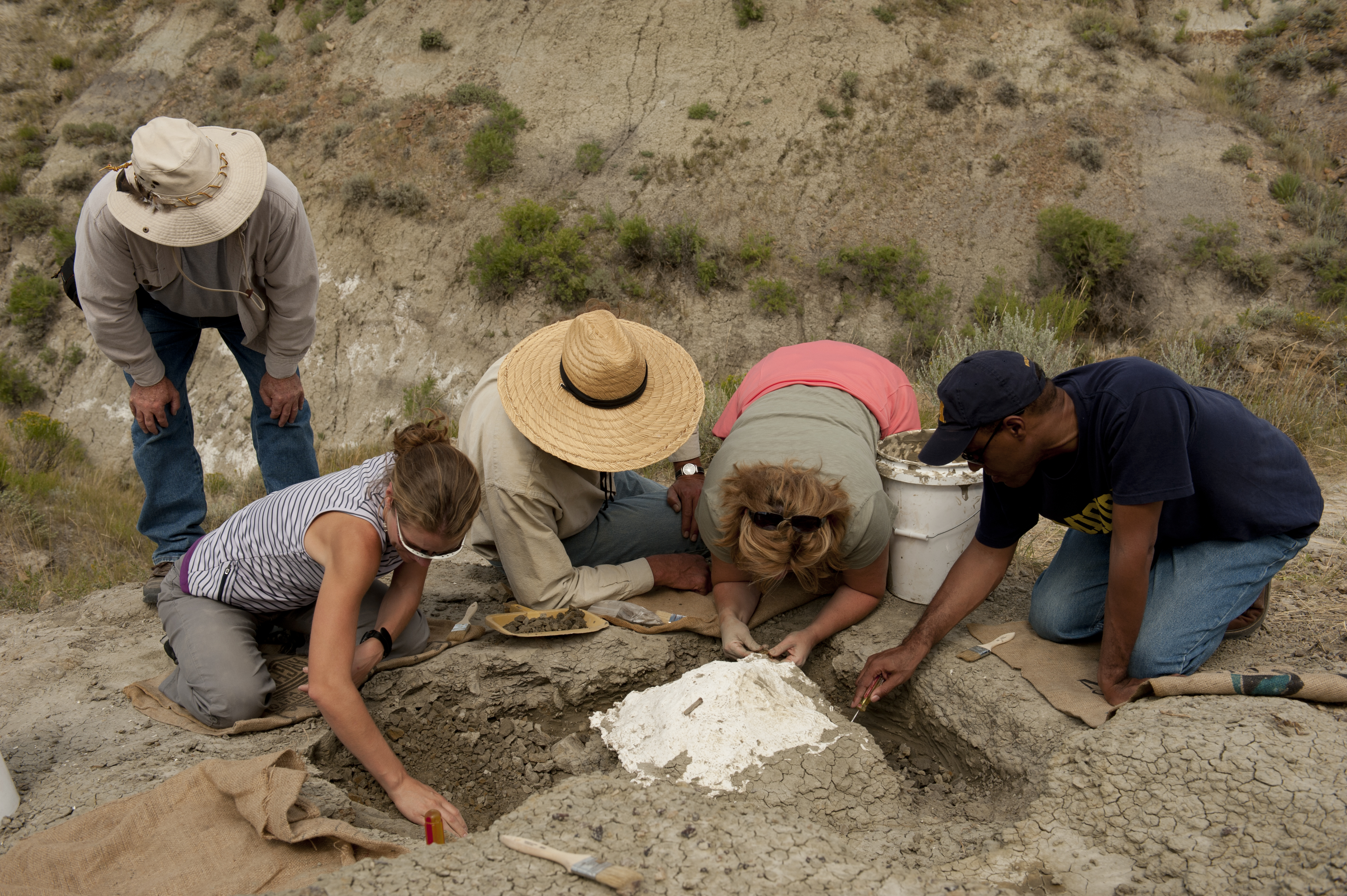 Go on an educational and fun dinosaur dig in Missouri River Country! 
