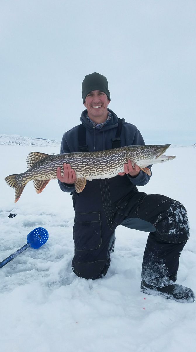 Your Guide to Trout Fishing the Little Missouri River - Country